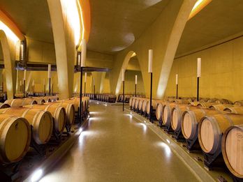 一旦经压榨，葡萄酒必须被静置储藏。这一过程需要在适宜的恒温环境中进行。这座酒窖的储藏室就好像藤蔓的根部一般被深埋在地底下。由于酒窖良好的方位，这座坚固的地下建筑同时也是展示葡萄酒的最佳场所。